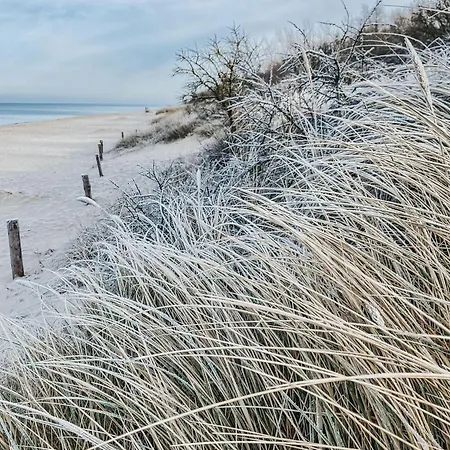 Holiday home Strandhafer Barendorf (Mecklenburg-Vorpommern)