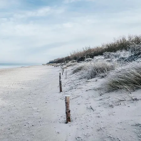 Strandhafer Holiday home